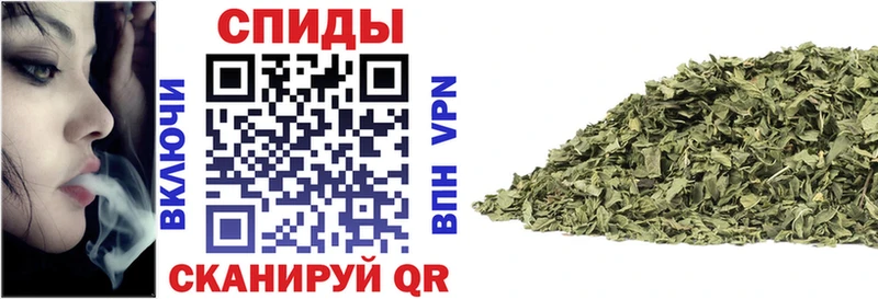 Купить где  Новозыбков  БУТИРАТ BDO 33% 