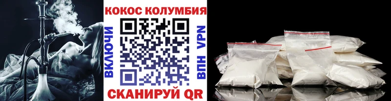 Купить закладки  Новозыбков  Кокаин Fish Scale 