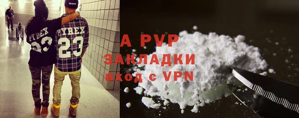 PSILOCYBIN Кодинск