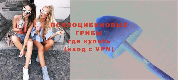гидропоника Коряжма