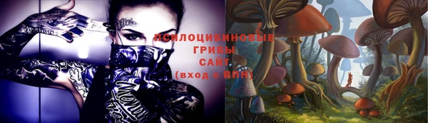 тгк Корсаков