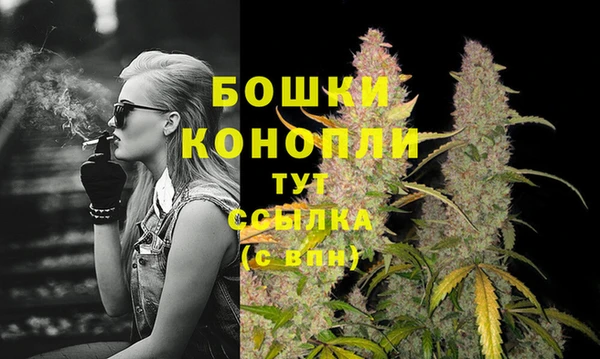 гидропоника Коряжма