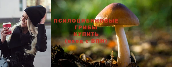 apvp Костерёво