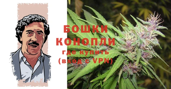ALPHA PVP Козельск