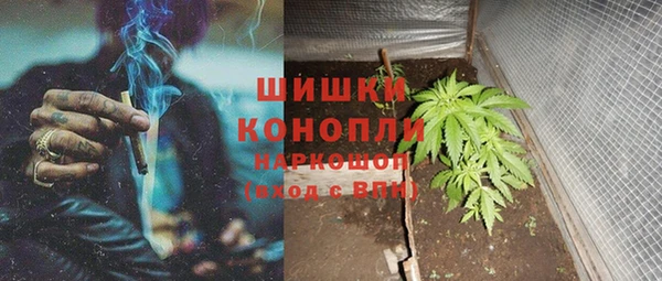 тгк Корсаков