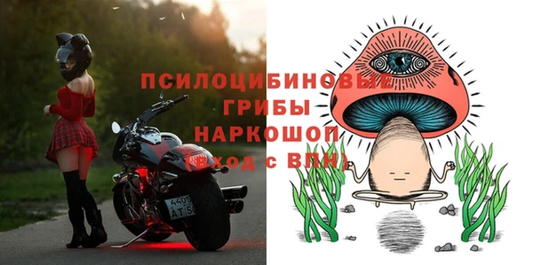 тгк Корсаков
