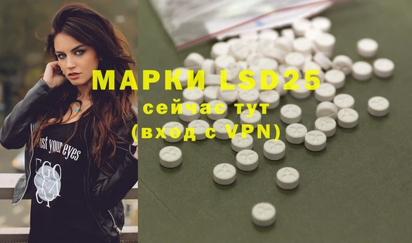 PSILOCYBIN Кодинск