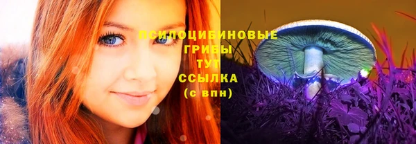 PSILOCYBIN Кодинск