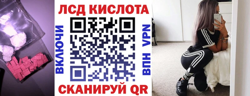 ЛСД экстази ecstasy  Купить  Новозыбков 