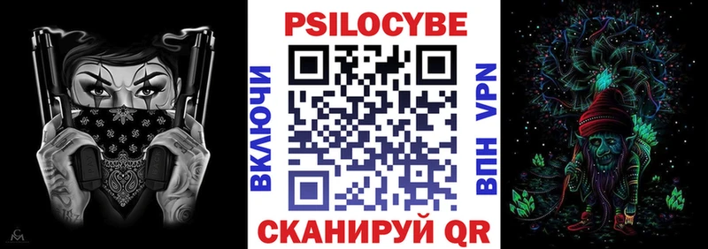 Купить  Новозыбков  Псилоцибиновые грибы Psilocybe 